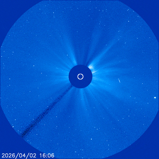 太陽に接近していくマップス彗星のようす。