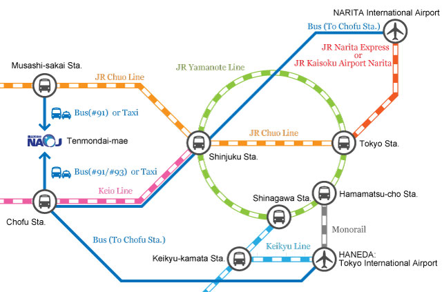 About the access routes of the train and bus from the main area