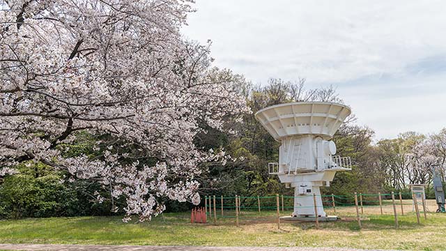 6-m Millimeter-Wave Radio Telescope