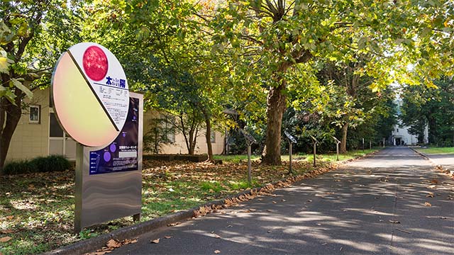 The Solar System Walk