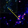 Discovery of a Blue Supergiant Star Born in the Wild
