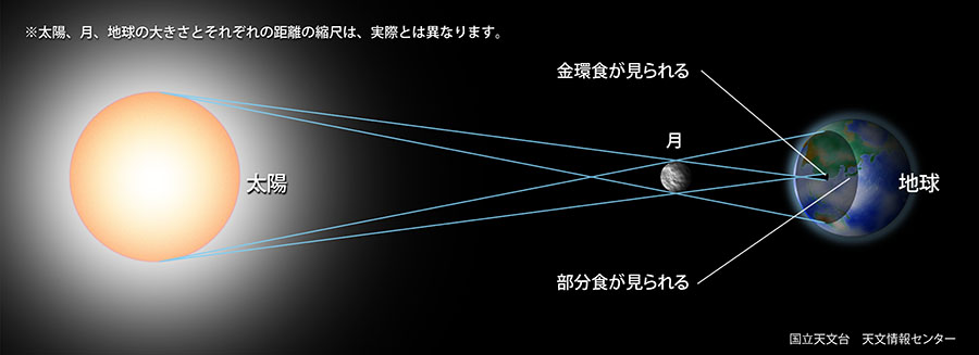 日食が起こるしくみを説明した図 金環食の場合