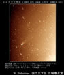 1996年03月20日