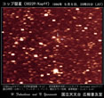 コップ周期彗星1996年05月05日