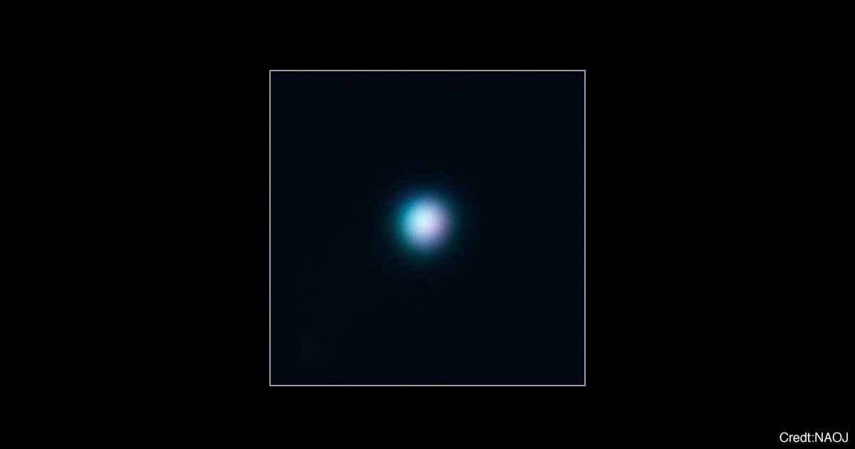 neptune-ogp.jpg