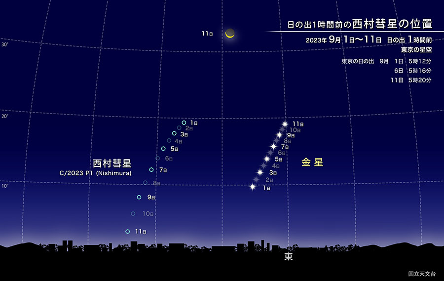 日の出1時間前の西村彗星の位置 2023年9月1日から11日 日の出1時間前 東京の星空
