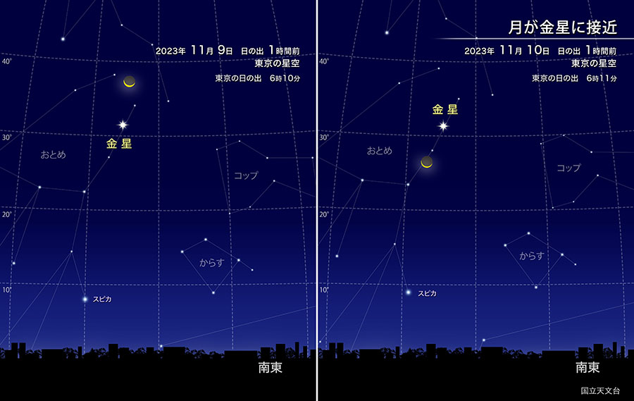 月が金星に接近。2023年11月9、10日、日の出1時間前の東京の星空