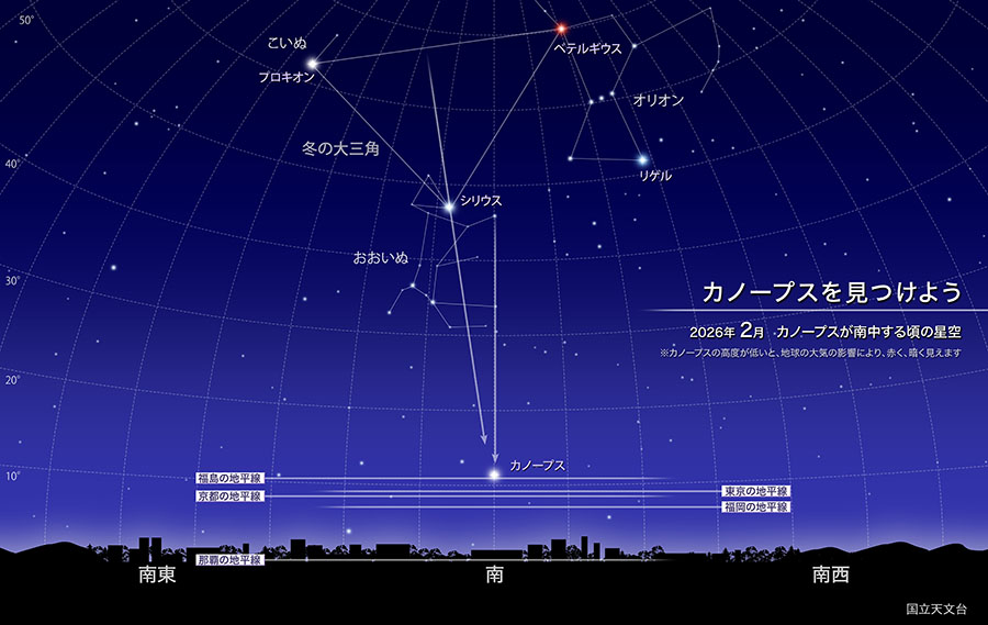 カノープスを見つけよう 2026年2月 カノープスが南中する頃の星空