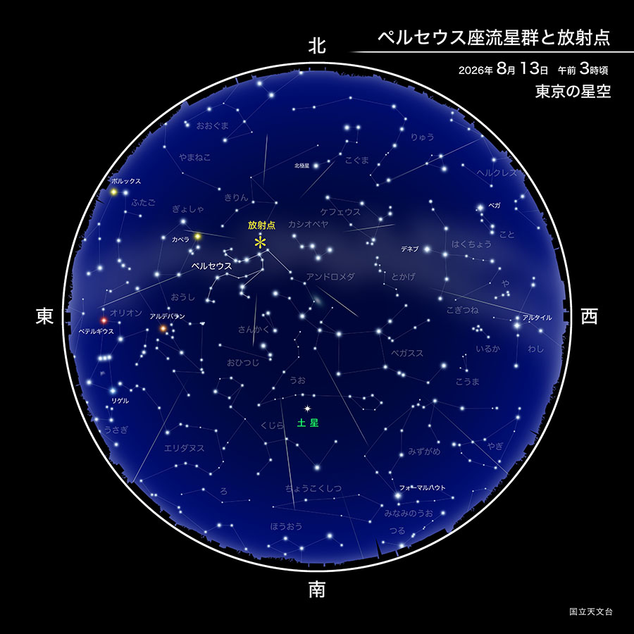 ペルセウス座流星群と放射点 2026年8月13日午前3時頃 東京の星空
