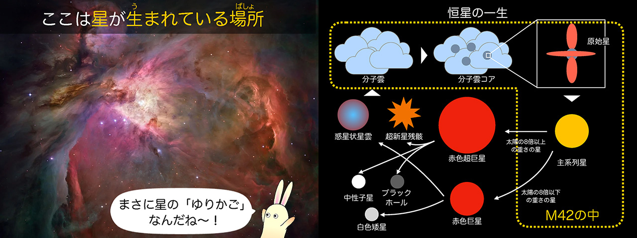 5定例観望会の解説資料から