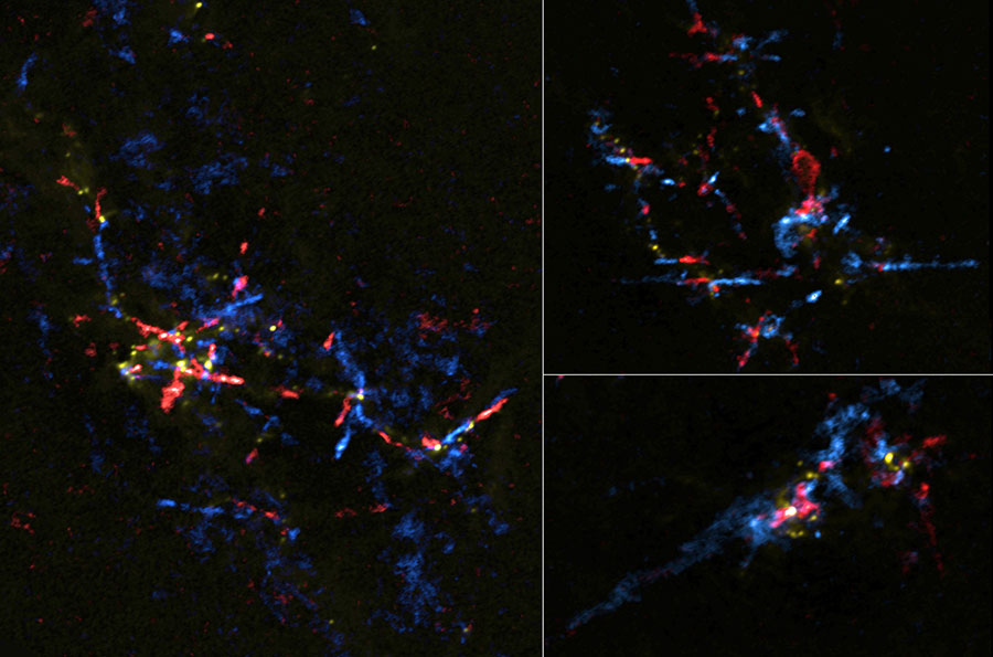 図：アルマ望遠鏡が観測した、3つの領域における多数の原始星とそこから噴き出す高速ガス流（アウトフロー）。