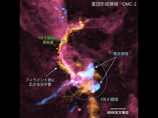 星のゆりかごを揺さぶる若い星からの産声 – 国立天文台