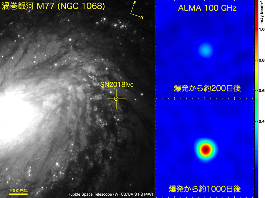 M77銀河に出現した超新星2018ivc。左はハッブル宇宙望遠鏡が爆発直後に撮影した画像。右はアルマ望遠鏡による観測画像で、爆発からおよそ200日後（右上）と、およそ1000日後（右下）