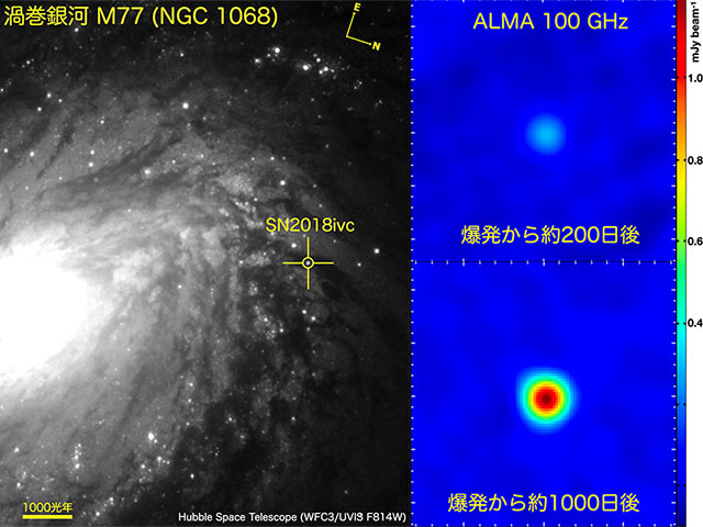 超新星の電波再増光が示す連星進化の道筋 – 国立天文台