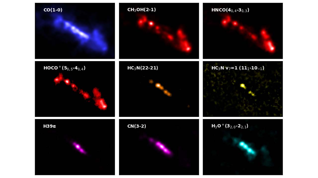 銀河の中の星工場―分子で見る繁忙期の製造ライン―