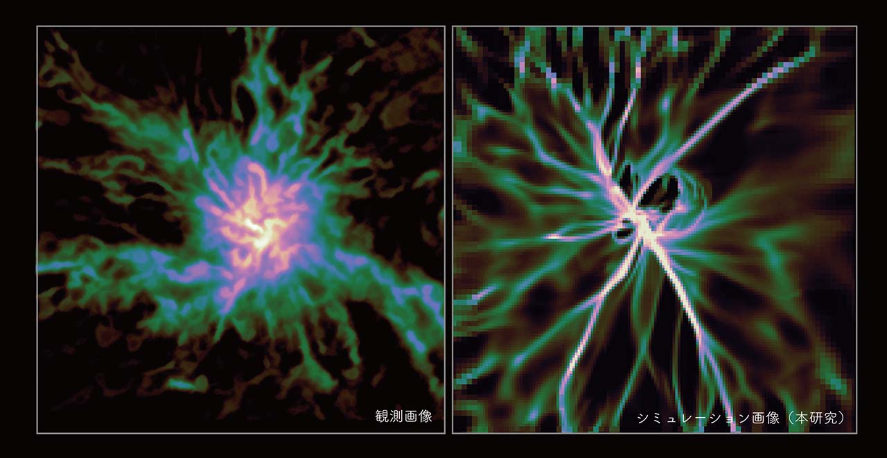 星形成領域Mon R2で実際に観測されたハブ・フィラメント系分子雲と本研究のシミュレーションで形成された構造の比較