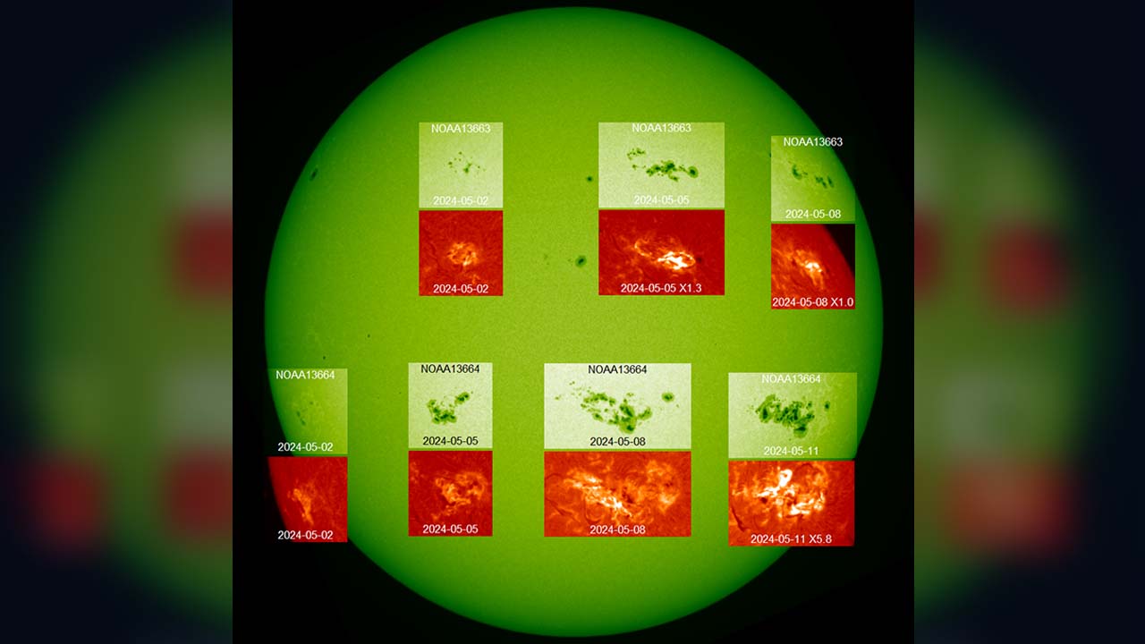 三鷹の太陽フレア望遠鏡が2024年5月2日から5月11日までに観測した連続光全面像の黒点群（活動領域）に、Hα線像の黒点群を重ね合わせた画像