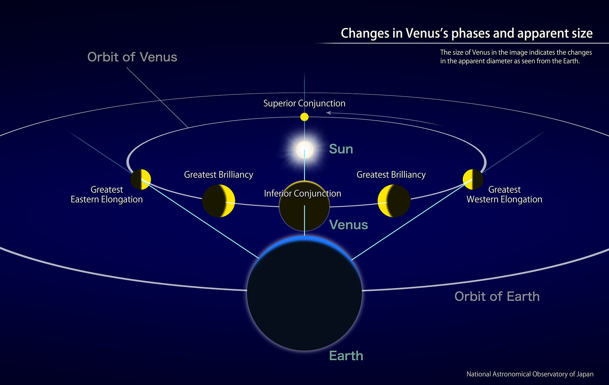 Venus Reaches Its Greatest Brilliancy (February, 2017) | NAOJ: National Astronomical ...