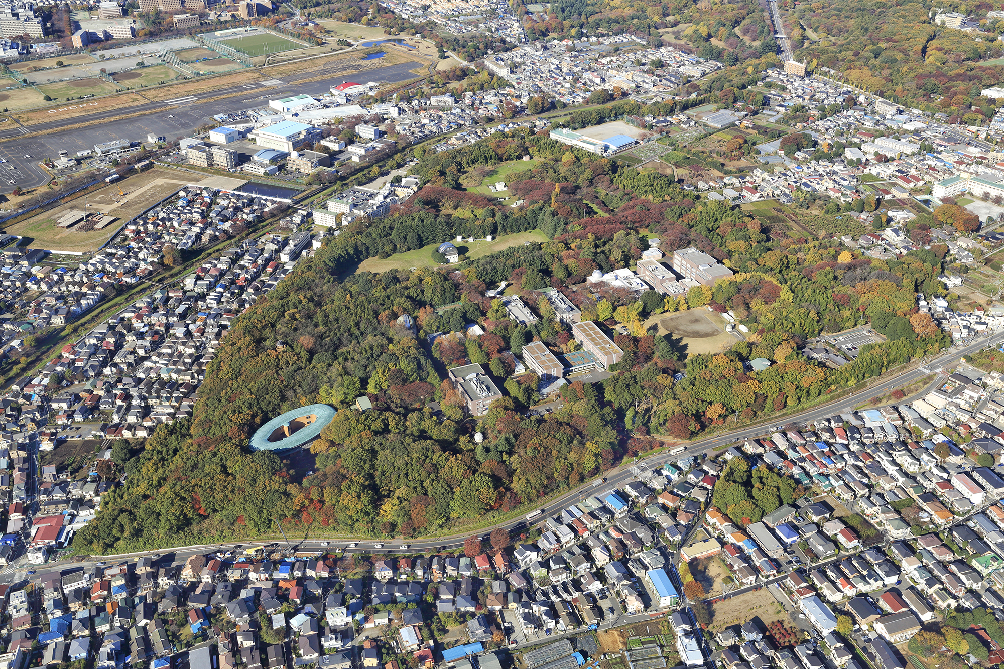 Leaves Start Changing Colors in Mitaka Campus | NAOJ ...