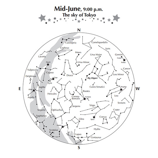 Starry Sky Illustration (June/Monochrome)