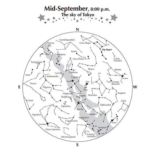Starry Sky Illustration (September/Monochrome)