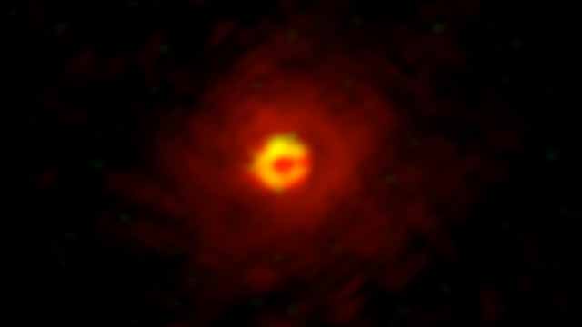 High spatial-resolution image of AlO and SiO molecules around AGB star W Hydrae, observed using ALMA