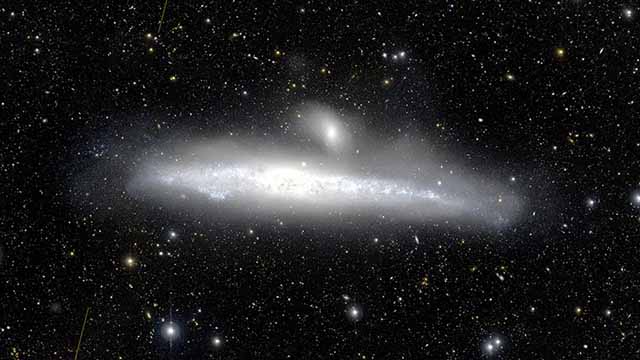 Eleven dwarf galaxies and two star-containing halos were identified in the outer region of the nearby Whale Galaxy.