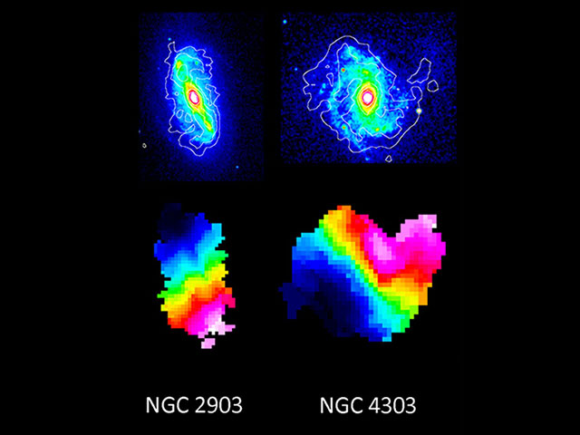 The distribution of stars (psudocolor) and gas (contour lines) for two barred spiral galaxies in this study, NGC 2903 and NGC 4303