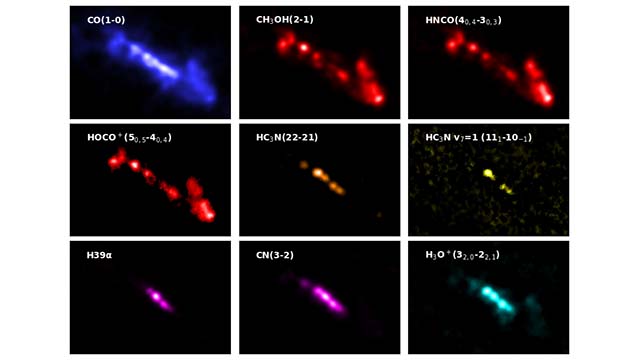 Excerpts from the ALCHEMI atlas of the center of NGC 253