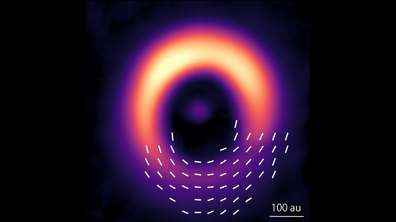 Dusting for Stars' Magnetic Fingerprints | NAOJ - National