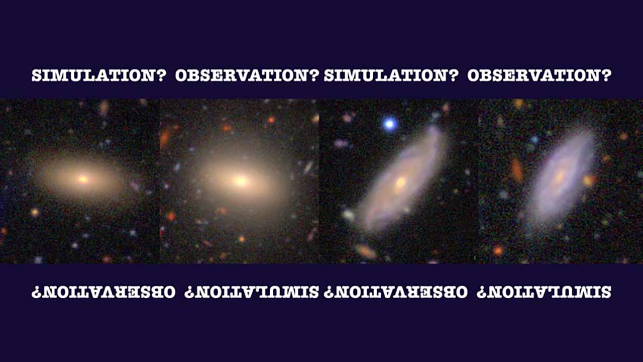 Image examples from the 2023 Special Campaign