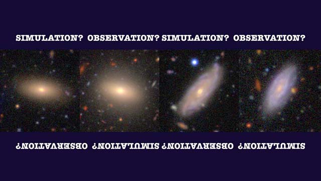 Image examples from the 2023 Special Campaign