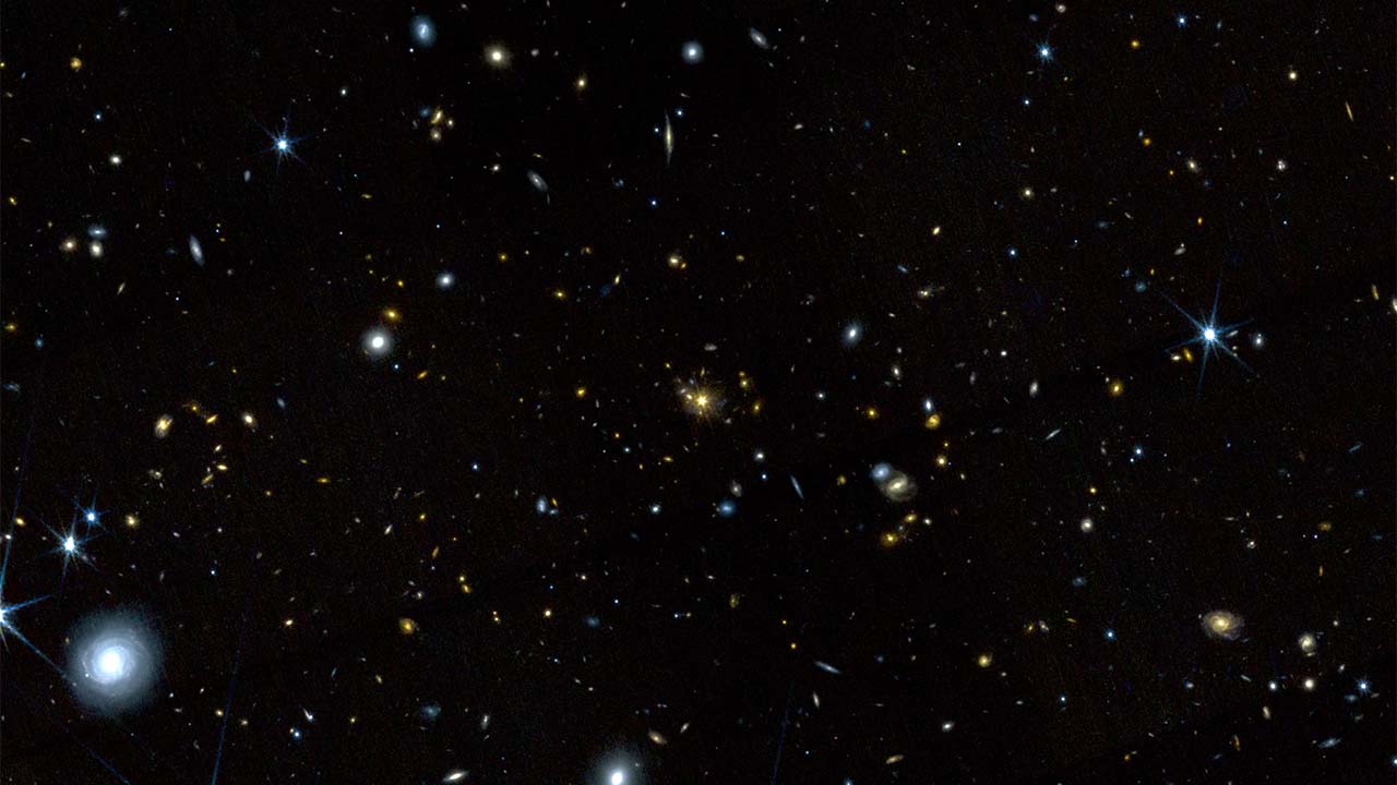 The Spiderweb protocluster captured by JWST.